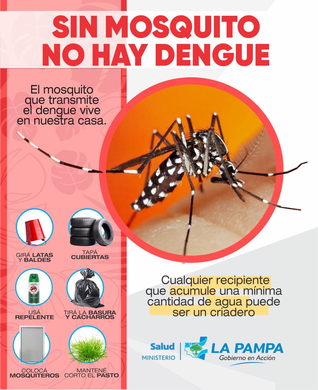Dengue: Salud informó el estado de situación en La Pampa