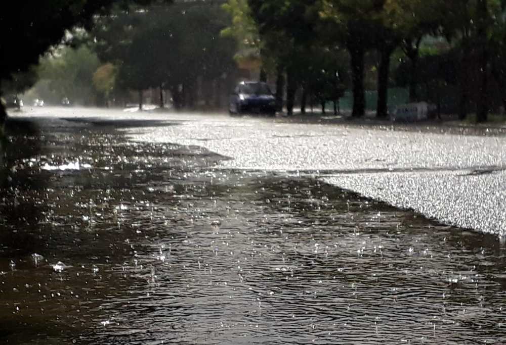 Los nuevos registros de las lluvias en La Pampa